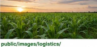 Agriculture & Agro-Allied